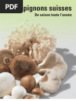 Champignons Marketing