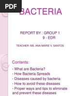 Bacteria: Report By: Group 1 9 - Edr