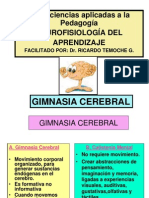 Neurociencias Ginnasiacerebral Aprendizaje 100824201057 Phpapp02