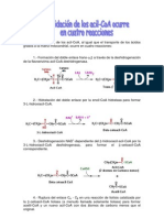 La B Oxidacion