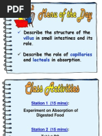 Absorption &amp Assimilation