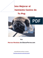 Como Mejorar El Comportamiento Canino de Tu Pug