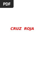 Filosofia e Historia de La Cruz Roja