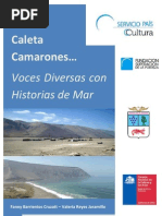 Historia Oral Caleta Camarones