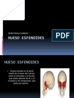 Hueso Esfenoides