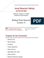 Operational Reactor Safety: Boiling Water Reactors