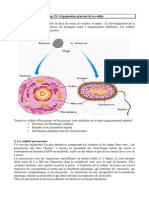 Introduction À La Biologie Cellulaire 4