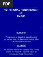 Nutrition Requierment of Layer Birds (BV300)