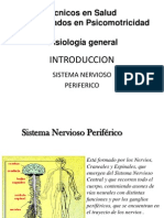 4 Sistema Nervioso Periferico