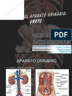 Pruebas Diagnosticas Aparato Urinario