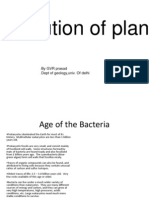 Plant Fossil Record 2012