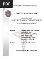 Fisiologia de La Insuficiencia Renal