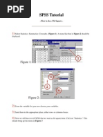 SPSS Tutorial: - How To Do A Chi Square