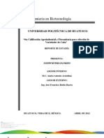 4ta Calificacion Fitosanitaria en La Seleccion de Variedades de Caña :)