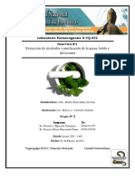 Practica #I Extracción de Alcaloides y Purificación de La Quina, Boldo e Ipecacuana Portada