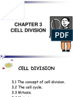 Cell Division