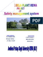 Project Report Safety JAYPEE