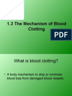 1.3 The Mechanism of Blood Clotting