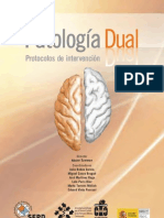 Presentación Programa Formativo - Protocolos de Intervención en Patología Dual.