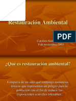 Restauracion Ambiental