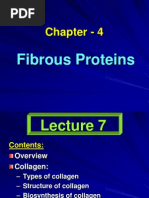 Fibrous Proteins - 3 Lecture (7-9) - PPT - Chapter 4