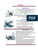 Todos Os Exercícios para Se Fazer Na Academia