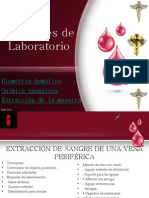 Exámenes de Laboratorio (BH, Qumica Sang.)