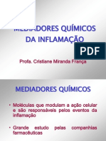 Mediadores Inflamação.2