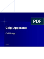 Golgi Apparatus: Cell Biology