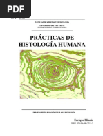 Prácticas de Histología Humana