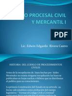 Derecho Procesal Civil y Mercantil I