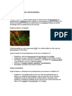 Tarea de Redes Neuronales