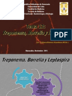 TEMA 12 Treponema Borrelia y Leptospira