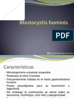 Blastocystis Hominis