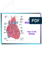 Heart Dissection: Year 12 AS Biology