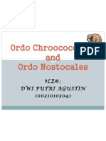 Alga Ordo Chroococcales Dan Nostoc