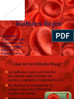 Globulos Rojos