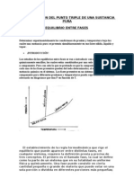 Determinación Del Punto Triple de Una Sustancia Pura