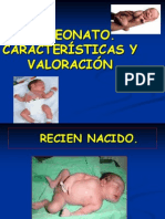 El Neonato, Características y Valoración