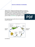 Ciclo de Vida de Los Vertebrados e Invertebrados