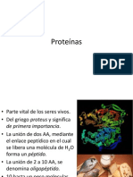 Proteinas Megatlon