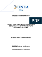 Adecuacion de Los Programas de Planeacion Estrategica A Las Pequenas Empresas