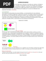 Acidos Nucleicos