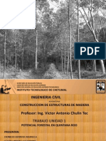 Potencial Forestal en Quintana Roo