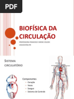 Circulacao