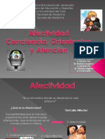 Afectividad - Psicologia