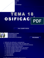 Tema 18