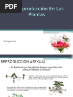 La Reproducción en Las Plantas