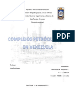 La Petroquimica en Venezuela