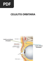 Oftalmo Celulitis Postseptal